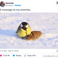 a message.jpg