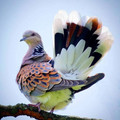 main-qimg-6c42ef457dd7a4999c76347d09506d13.webp