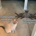675c2bbdede30_funny-intellectual-science-memes.jpg