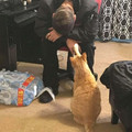 675c4169c7d31_cute-blessed-pics.jpg