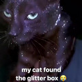 Why you should have a cat - legendary item [1883701038370136064].mp4
