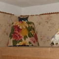 cat_lamp_bird.jpg