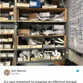 cat_storage.jpg