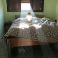 glow cat 3.png