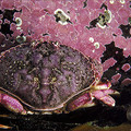 030804PW_05_leslie_lg.jpg