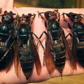 BZsUqjCCcAEa099.jpg-large.jpg