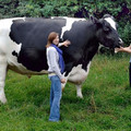 Big_beasts_trigger_2663528k-600x424.jpg