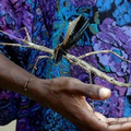 galleryimage1022057664-jan-27-2012-600x480.jpg