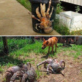 palm thief crab.jpg