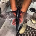 flying fish.webp