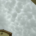 cotton balls.jpg