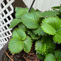 67e683dec91f9_mind-blowing-photos.jpg