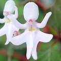 IMG_1658.png