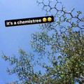 chemistree.jpg