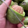 walnuts.mp4