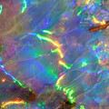 6957a0d86bc4603995cf57d484a869d3.jpg
