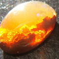 sunset_fire_opal.jpg