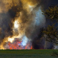 fire.jpg