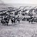 custer-51107-59689.jpg