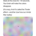 Troxler effect.jpg