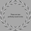 illusion-perfectly_round_circles.jpg