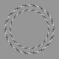 optical illusion 10b.jpeg
