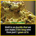 gold.jpg