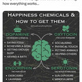 happiness_chemicals.jpg