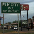 kfc.jpeg