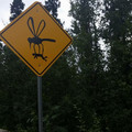 mosquito.jpg