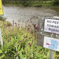 norway-russia border.jpg