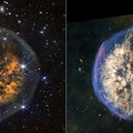exposed cranium nebula (pmr 1).webp