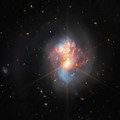 ic 1623.webp