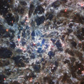 ic 5332.webp