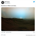 mars_sunset.jpg