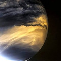 venus 3.jpg