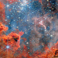 westerlund 2.webp