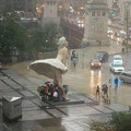 67bdd06bb22f1_random-weird-pics.jpg