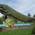 world's largest fish.jpg