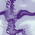 A005.JPG