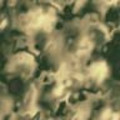 A086.JPG