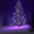 christmas tree 2.jpg